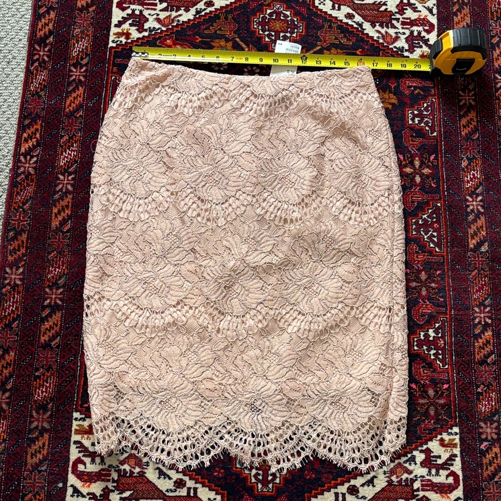 H&M Blush Lace Pencil Skirt